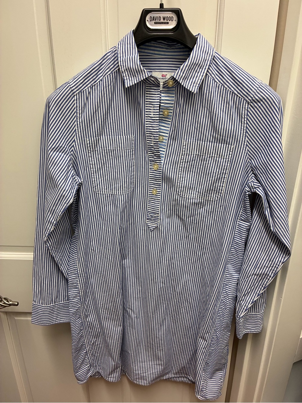 Vineyard Vines Blue and White Striped Button-Front Shirt